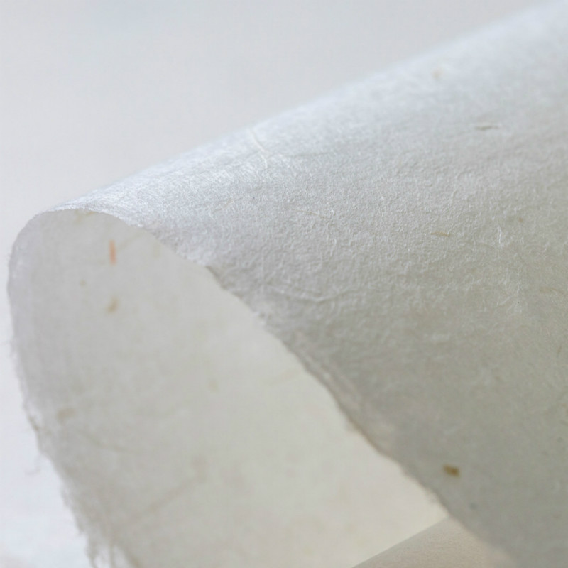 Chinese Yunlong Fiber Xuan Pap - Ink Blotter Paper recensie en prijs