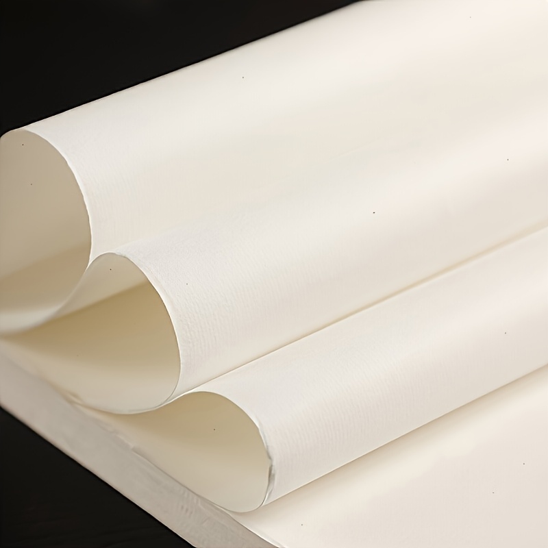 100/200 stuks halfgekookt Chin - Ink Blotter Paper recensie en prijs